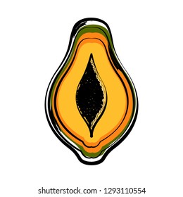 Sketch of a front view of a cut papaya. Vector illustration design