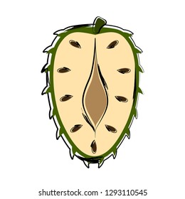 Sketch of a front view of a cut soursop. Vector illustration design