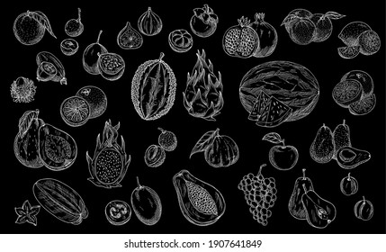 Sketch fruits isolated vector icons. Durian, watermelon and pineapple, peach and papaya farm market or store garden and tropic exotic fruits. Tropical carambola and pitaya, lychee and lemon with grape