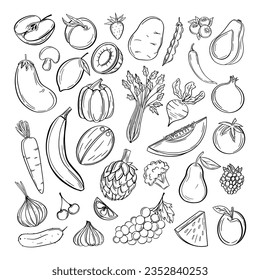 Sketch fruits, vegetables. Carrots broccoli potato and carrot, salad mushroom, apple, grape, lemon, cherry farming vector, line art	
