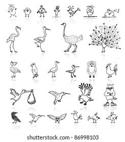 Sketch of funny birds for your design