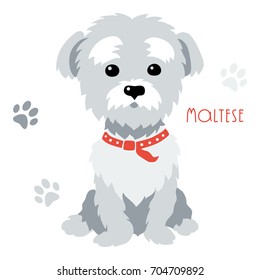 Sketch Funny dog maltese breed sitting hand drawing vector