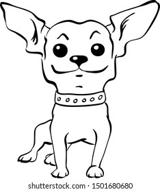 Sketch Funny dog short-haired chihuahua breed sitting hand drawing vector