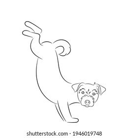 Sketch of a funny dog standing on its front paws