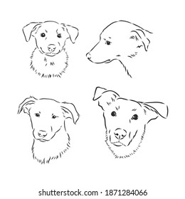 Sketch of funny dog. vector illustration. portrait of a dog vector sketch illustration