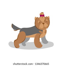 Sketch. Funny dog. Yorkshire terrier breed. Yorkie puppy. Dog with a bow on his head, dog grooming