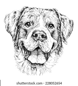 Sketch of funny shepherd dog. vector illustration.