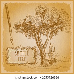 Sketch of garden fruit trees, vintage style, brown tone, writing pen, vignette
