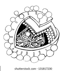 Sketch of a Generic Virus