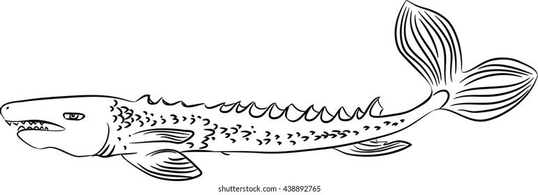sketch of giant fish