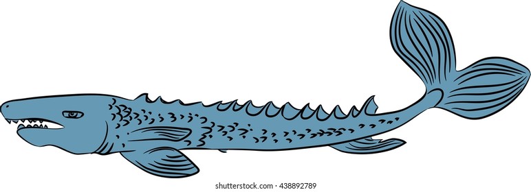 sketch of giant fish