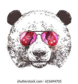 Sketch Of Giant Panda With Sunglasses. Hand Drawn Head In Monochrome Style