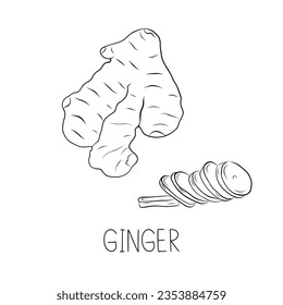 Sketch Ginger Root and Sliced ​​Ginger Simple Vector Illustration in Doodle Style