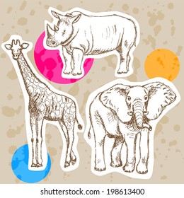 Sketch giraffe, elephant, rhino, vector vintage background