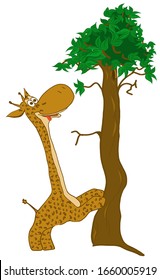 Illustrated Giraffe Eating Leaves from Tree - Vectorjunky - Free ...