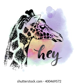 Sketch giraffe. Vector hand drawn illustration. Watercolor background. Hand lettering