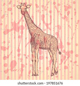 Sketch giraffe, vector vintage background eps 10