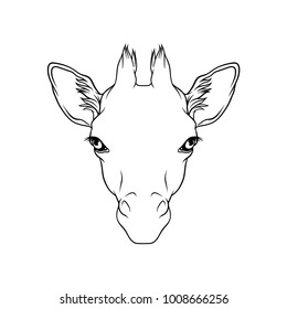 Sketch of giraffes head, portrait of forest animal black and white hand drawn vector Illustration
