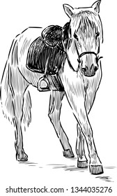 A sketch of a going harnessed horse