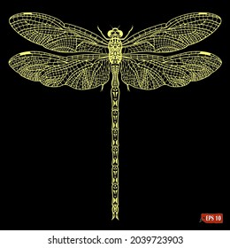 Sketch of gold dragonfly. Hand drawn ink vector illustration of insect on black background. Elements for label design, jewelry store.