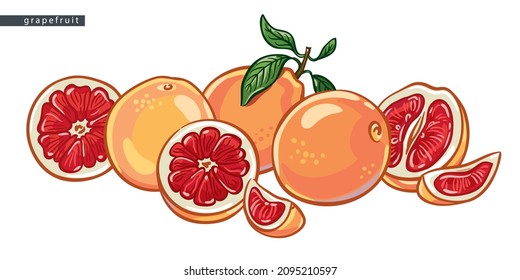 sketch grapefruits: a big pile of fruit 
on a white background, isolated vector drawing