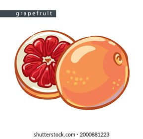 sketch grapefruits: half and a whole fruit 
on a white background, isolated vector drawing