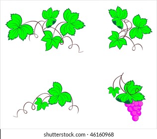 sketch of grapes