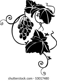 sketch of grapes
