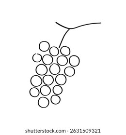 Sketch Grapes on isolated background. Hand drawn illustration with bunch of Grapevine berries in line art style. Food, dry raisins, healthy food, harvest fruit. For label, icon, card, logo, print