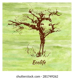 Sketch graphic tree on green watercolor background, hand drawn vector illustration, vintage style, template for design pattern, collection of brush, printing, elements package organic eco product