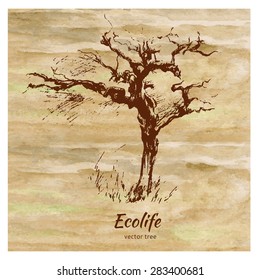 Sketch graphic tree on watercolor colorful background, vector hand drawn illustration, vintage style, template for design pattern, collection of brush, printing, elements package organic eco product