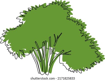 9,451 Shrubs sketch Images, Stock Photos & Vectors | Shutterstock