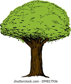 Sketch of green tree with thick trunk over white background
