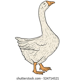 Sketch grey goose on a white background. Vector illustration