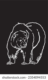 sketch of grizzly bear on black background ,vector illustration 