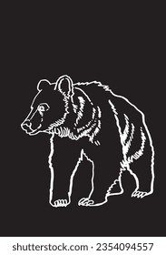 sketch of grizzly bear on black background ,vector illustration 