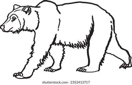 sketch of grizzly bear walking isolated on white ,vector illustration for coloring,tattoo ,design