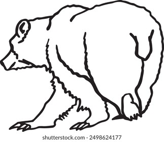 Sketch of grizzly bear walking on white background ,vector illustration.	