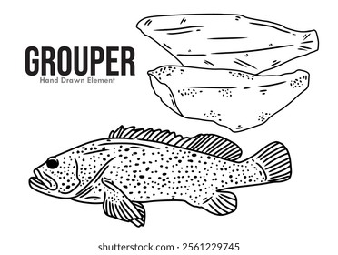 Sketch of grouper fish with images of whole fish and fish fillets, hand drawn in black ink. For design of food elements, menus, seafood and others