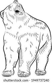   Sketch of growling bear.  Minimalistic style.