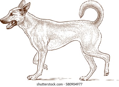 sketch of a guard dog