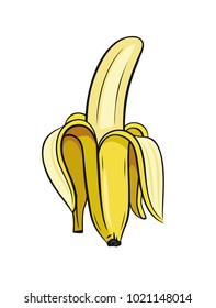 Sketch of half peeled banana. Vector on white background