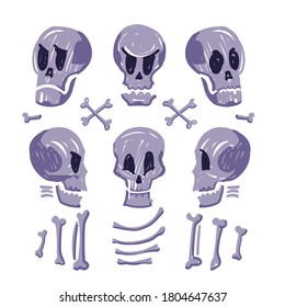 Sketch of Halloween elements. Collection of drawn human bones. Different angle of the skull