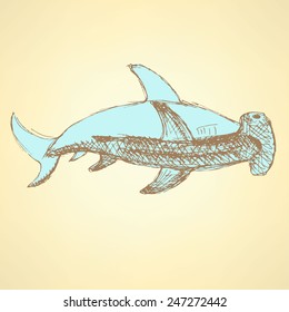 Sketch hammerhead shark in vintage style, vector