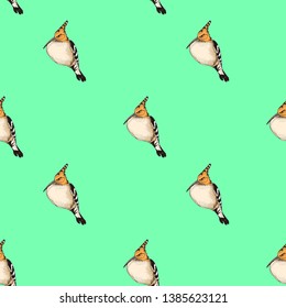 Sketch hand drawn card with hoopoe. Animals illustration birds.