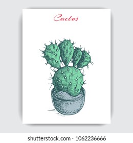 Sketch hand drawn colorful illustration cactus card.