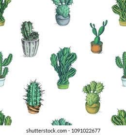 Sketch hand drawn colorful illustration cactus pattern.