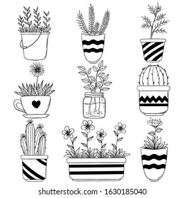 sketch or hand drawn of flower with pot. Spring home flower vector for decoration