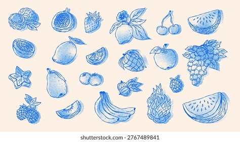 Sketch hand drawn fruits vector illustration. Blue cyanotype stipple dot overlay texture with Natural tropical fruits. Dragon fruit, pineapple, citrus, banana, fig, apple, grape, lemon.