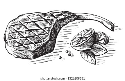 sketch hand drawn Grilled steak tomahawk with lemon and herb vector illustration